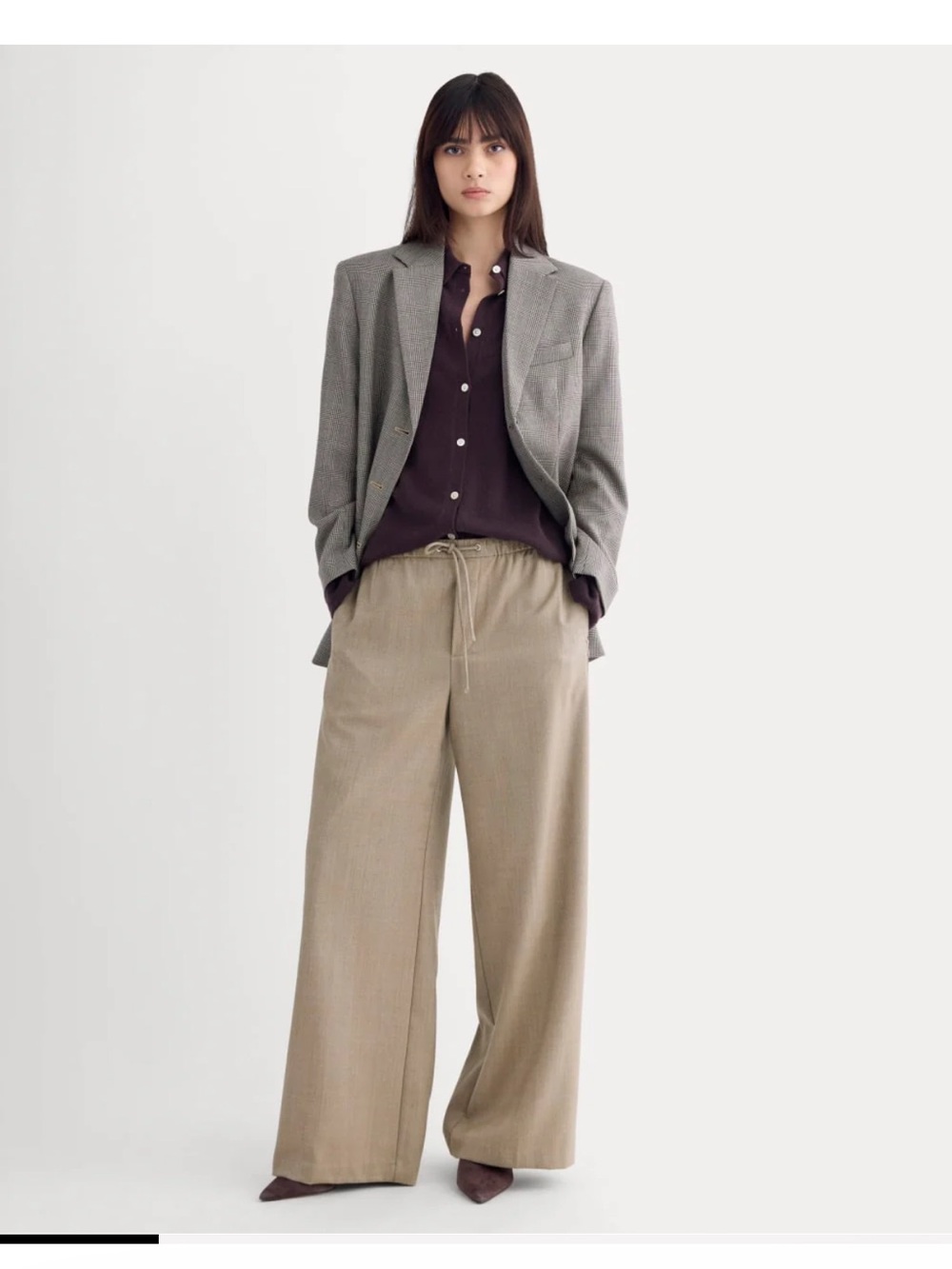NWT Everlane Wide-Leg Drawstring Pants in Taupe 10